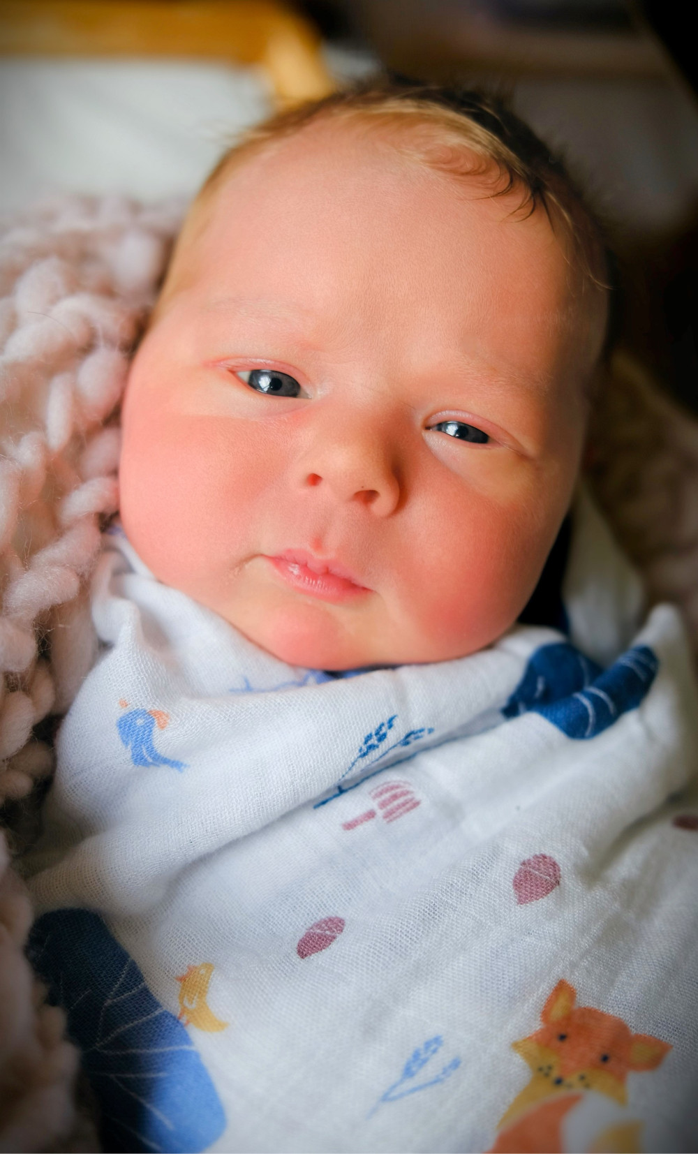 Baby Magnus Arkyn-Lyra Johnson