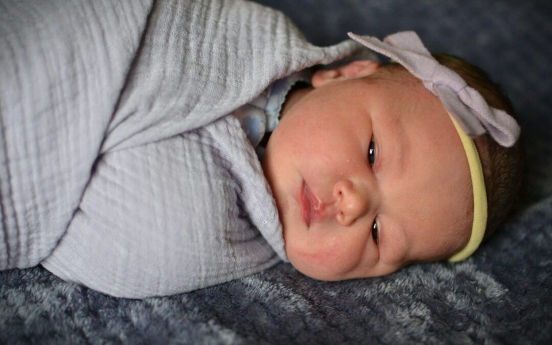 Lucy Lou